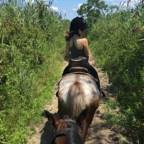 Weekend Adventures {Family, Friends, and Horses}