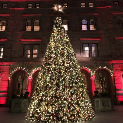 Staying Healthy in the Holiday Season {Intuitive Eating}