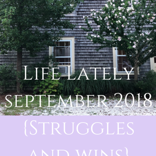 Life Lately September 2018 {Struggles and Wins}