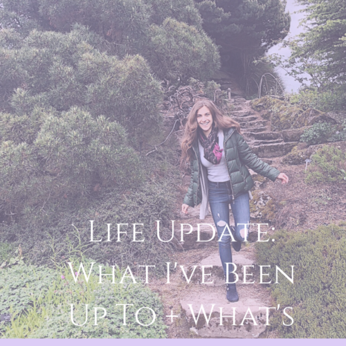 Life Update: What I’ve Been Up To + What’s Coming Up