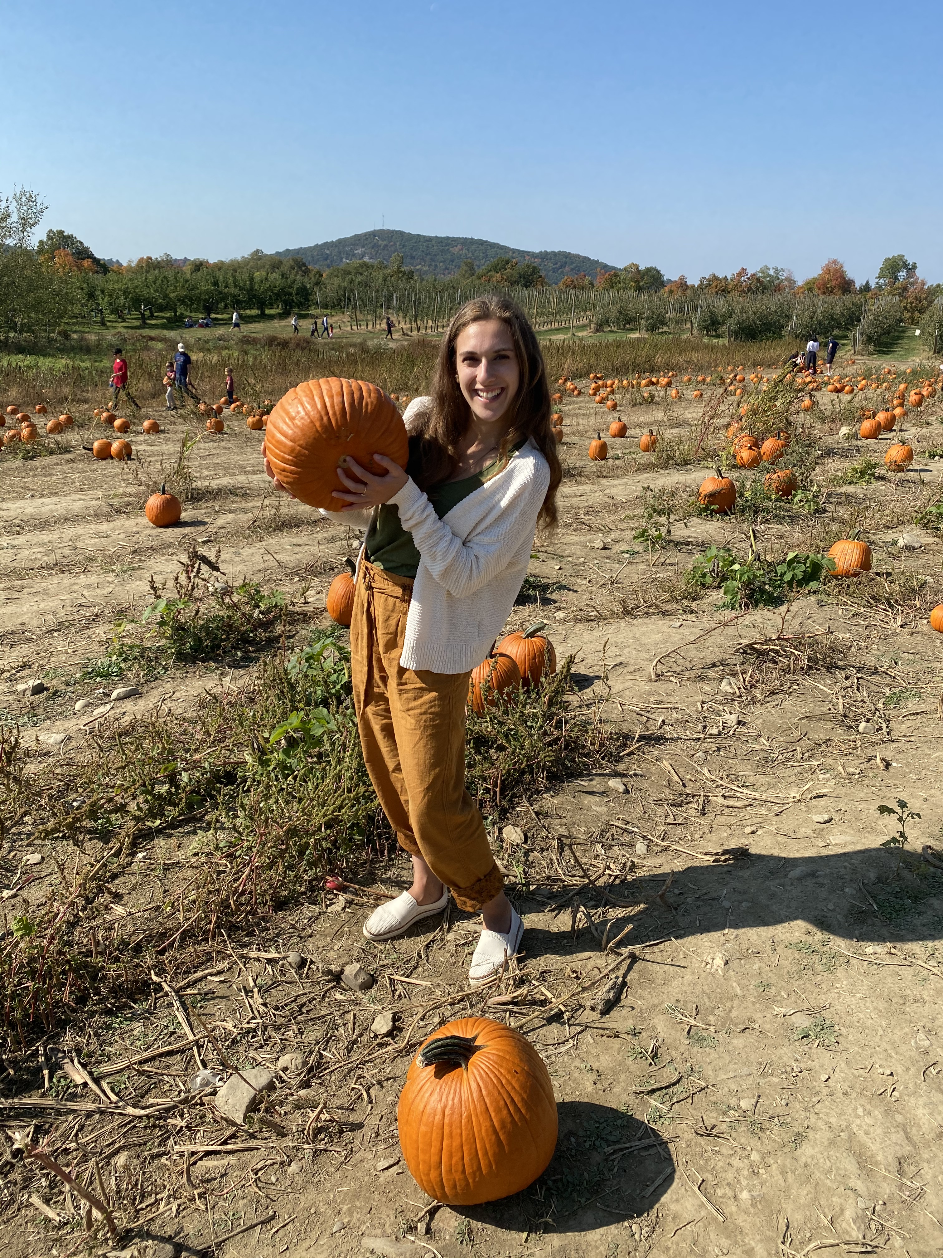 joyful eats faves movement pumpkin