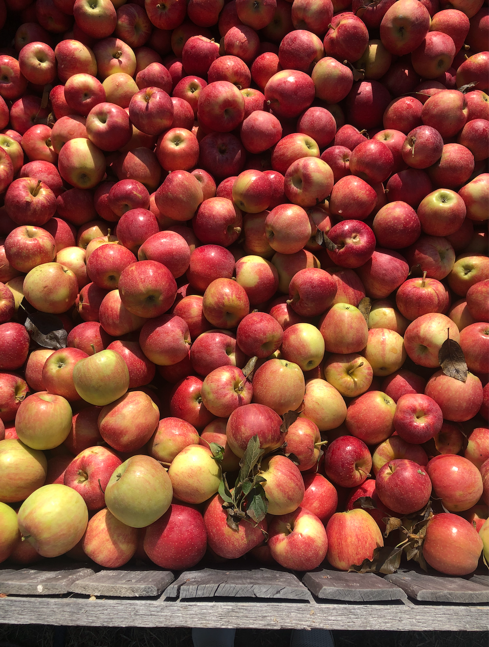 joyful eats faves movement apples farm fresh produce