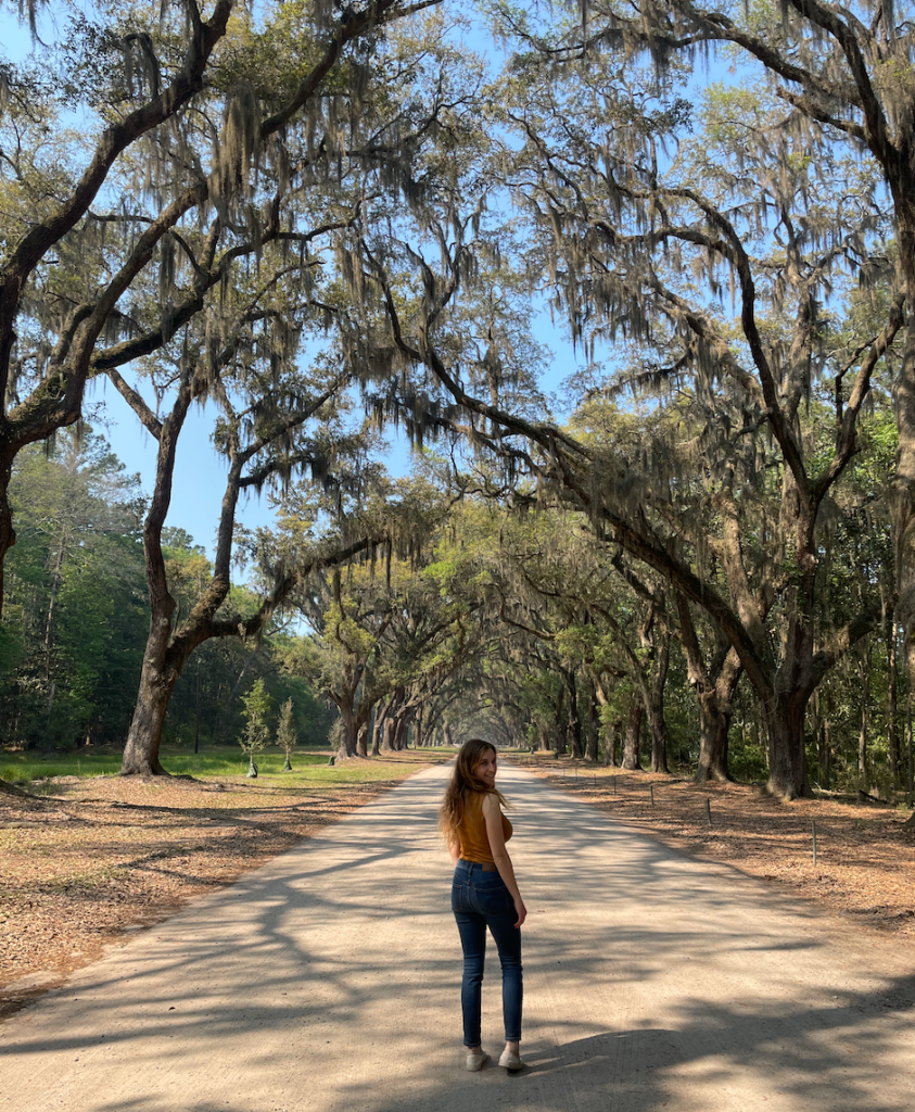 Charleston Savannah Travel Guide Wormsloe Plantation