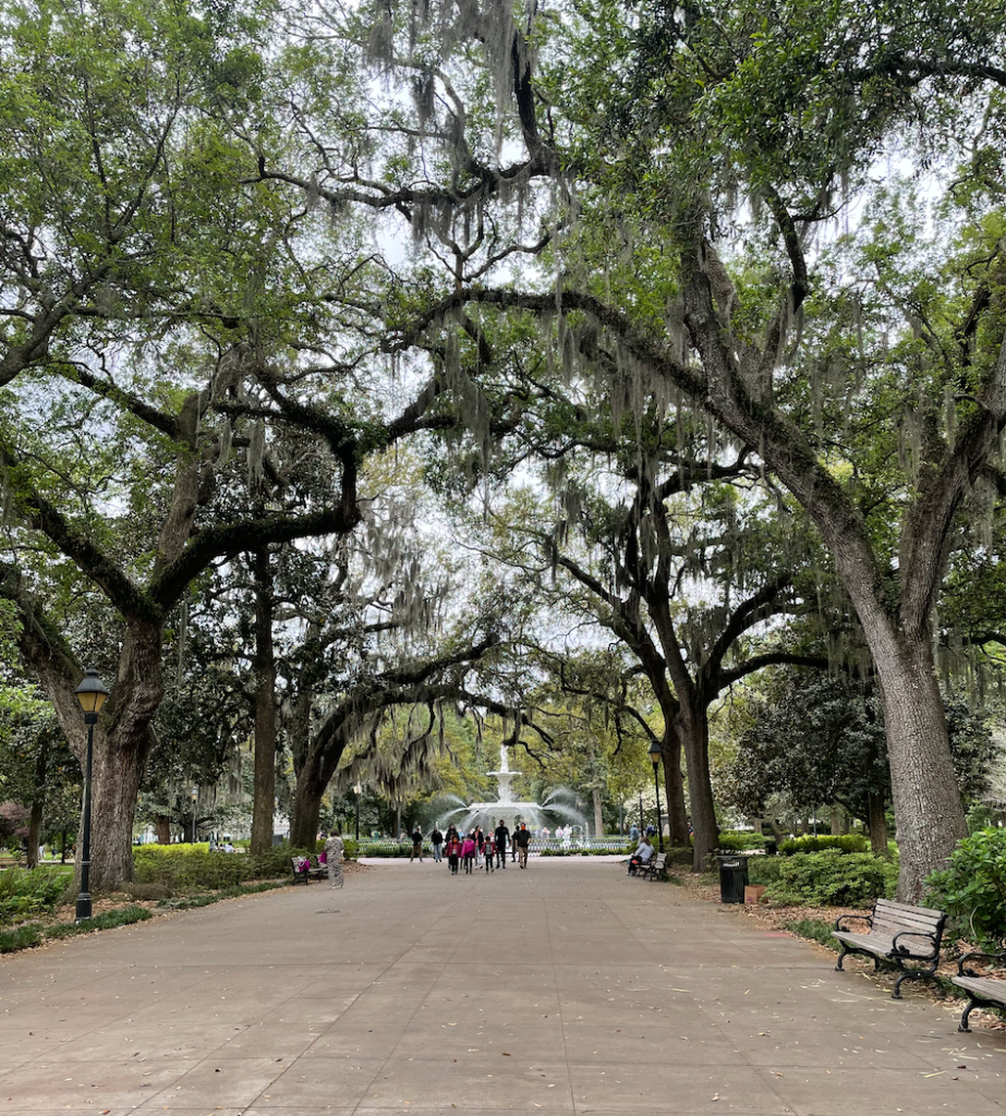 Charleston Savannah Travel Guide Forsyth Park
