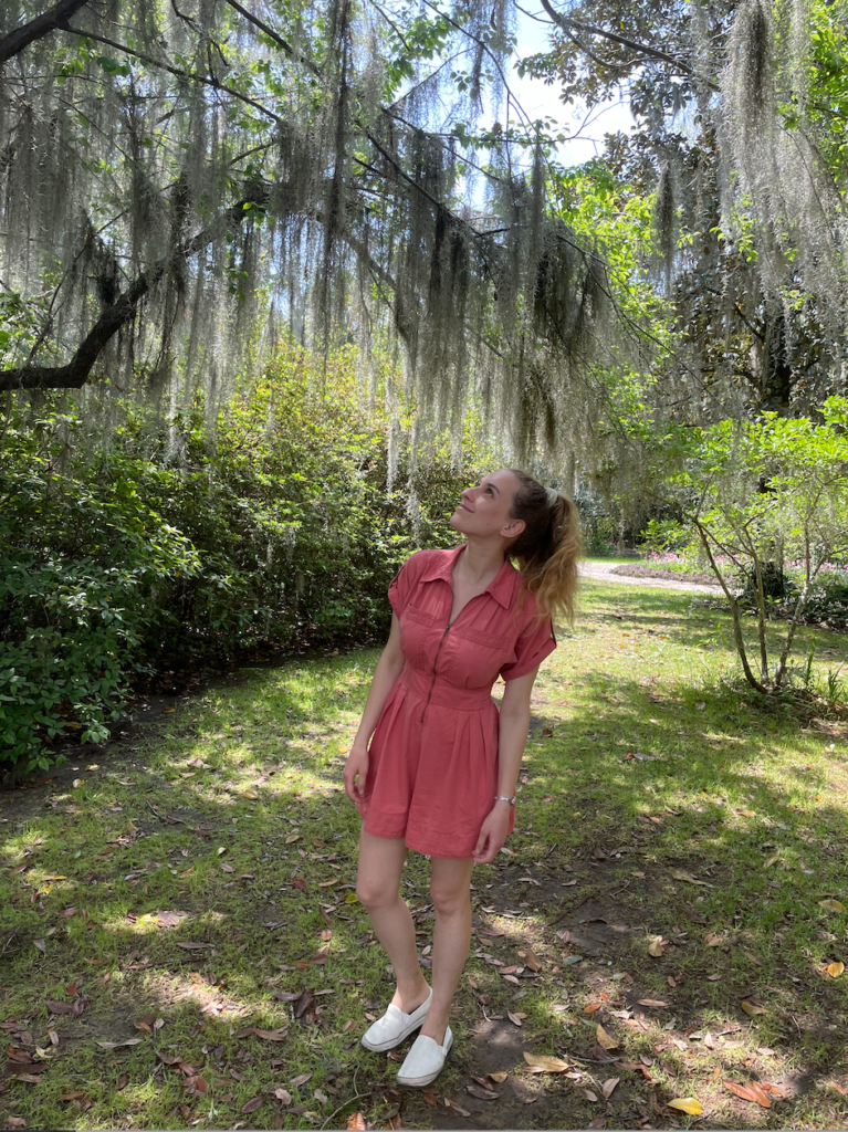 Charleston Savannah Travel Guide Magnolia Plantation